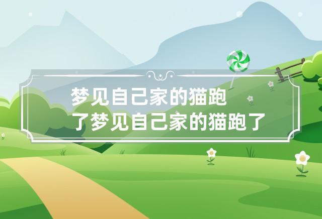 梦见小猫跑了