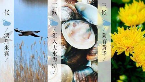 寒露出生的人命运
