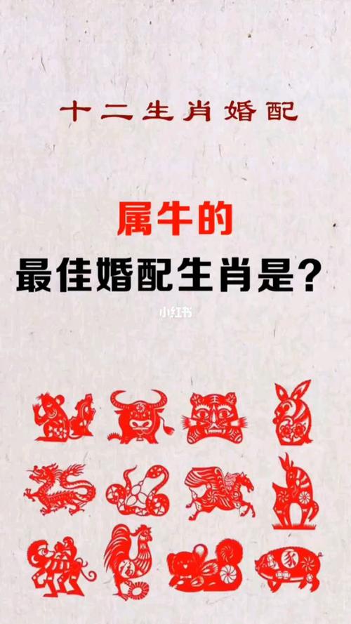 属牛的和什么生肖最配