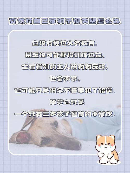 梦见自己养狗了