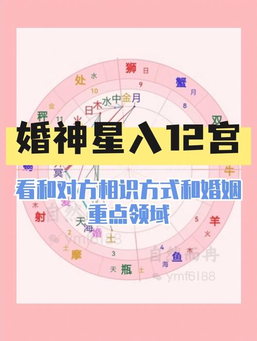 婚神星落在十二宫的解释