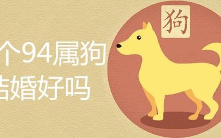 属狗人生哪个属相的宝宝好