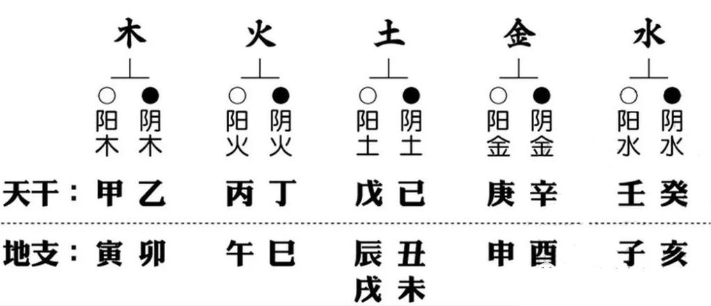 对壬水人的八字命理分析