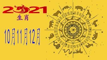 2021年前半段有可能得到提升的生肖