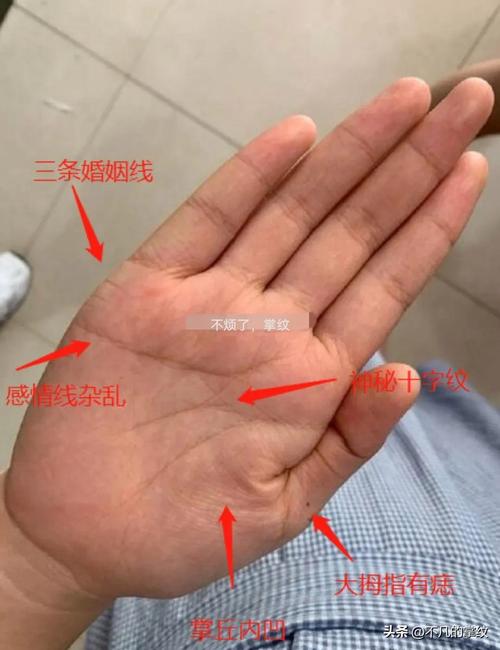 十字纹在感情线与智慧线之间,什么十字纹大富大贵