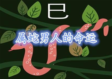 属蛇的男人太可怕了