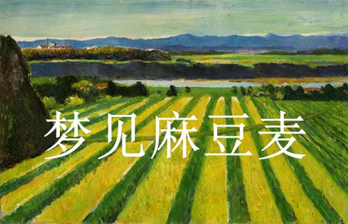 梦见麻豆麦周公解梦，梦见麻豆麦是什么意思？