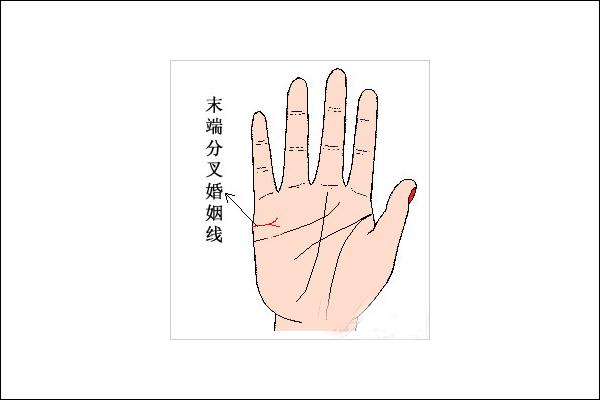 “夫运欠佳”的女生姻缘线图解分析