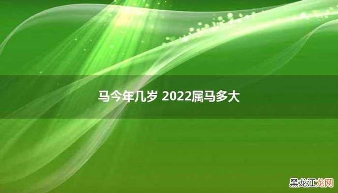 属马的人今年多大,属马的今年多大