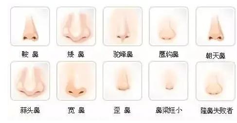 图解最有福气的鼻子特点