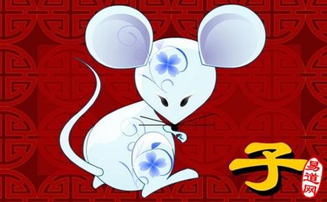 生肖鼠男生的优缺点