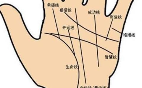 男生凤眼是什么命