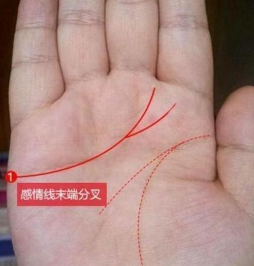 花心的人的手相