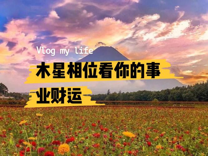从种花看你的事业走向如何