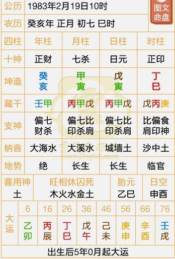 丁巳日柱男命运解析,丁巳日柱男命运势怎么样