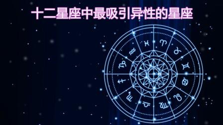 你是最吸引异性关注的星座吗