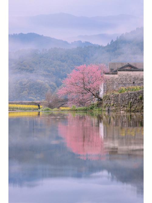 巨蟹座今年有桃花原吗