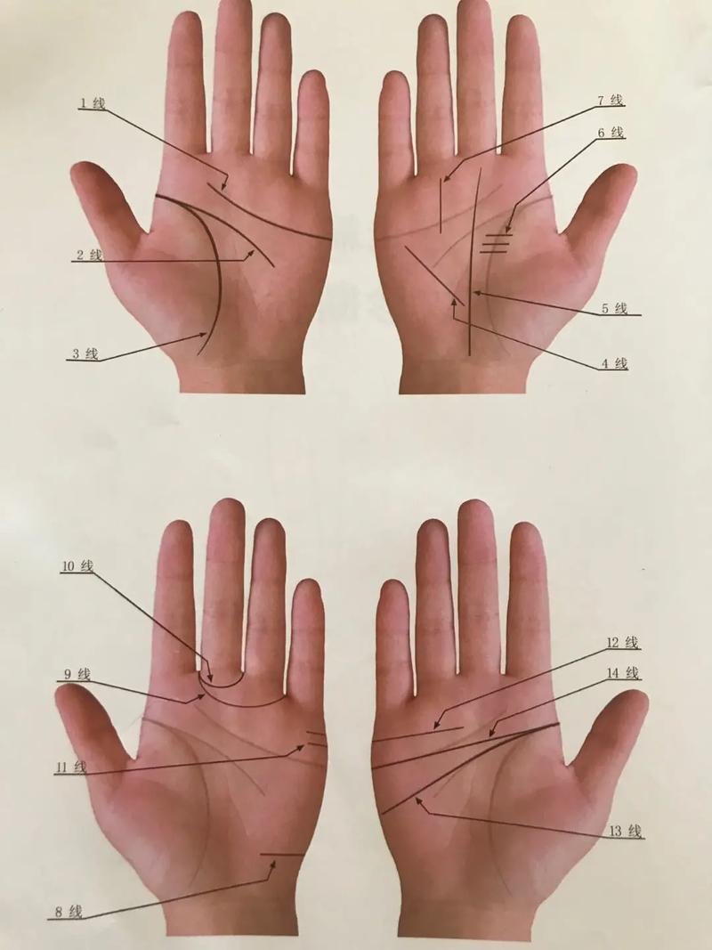 手相有几条感情线好