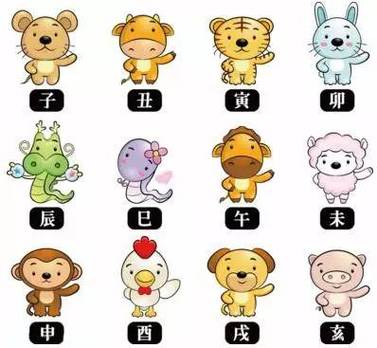 十二生肖谁是乐观达人?