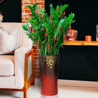 阳台放什么植物招财