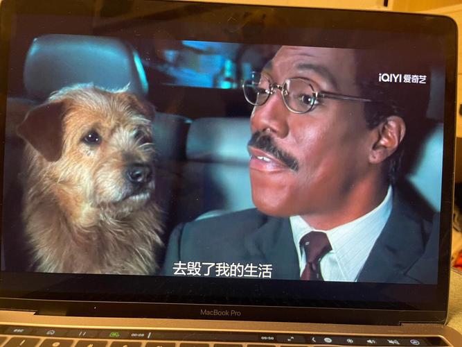 梦见动物说话 家庭是否和睦
