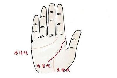 智慧线很长的女人好不好?心思细密但不怎么务实!