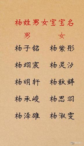 扬姓女孩寓意好的名字