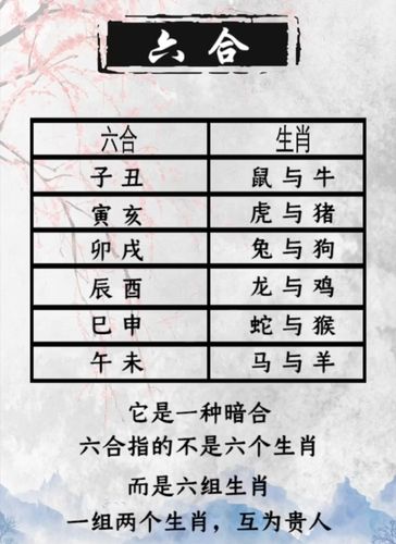 相克的属相在一起会怎样