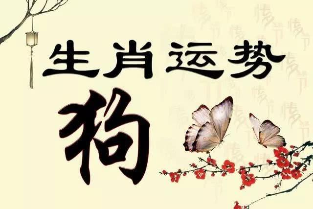生肖狗是否有老板命