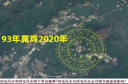93年属鸡男2020年运势