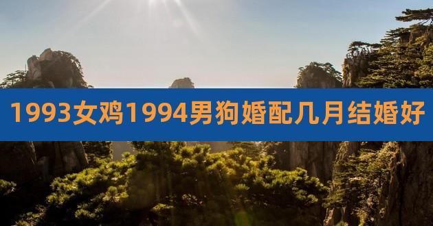 1993女鸡1994男狗破解方法有哪些