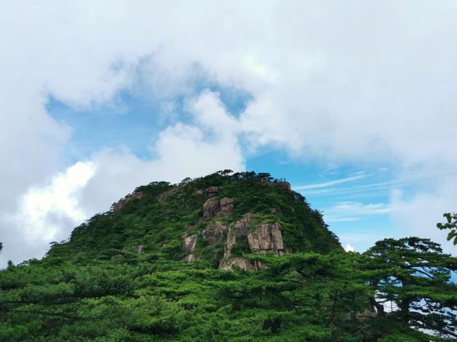 吓都吓醒了梦见爬山恐高