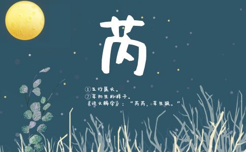 带芮的女孩名字