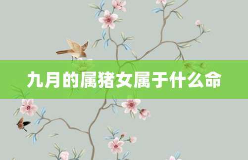 属猪的女人是否旺夫