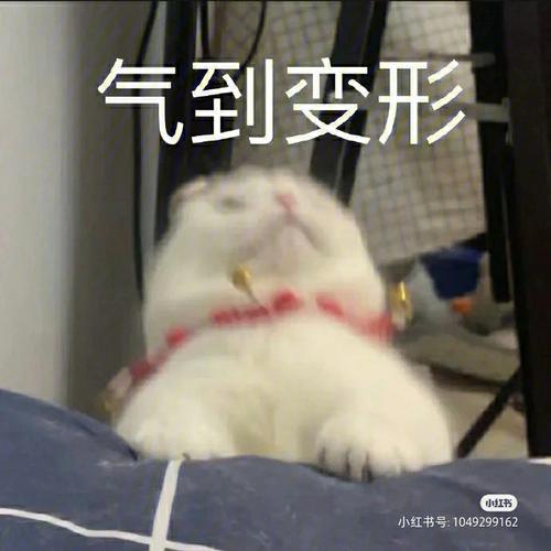 打不赢就会用眼泪攻击的面相特征