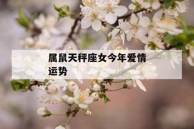 2017属鼠的天秤座运势