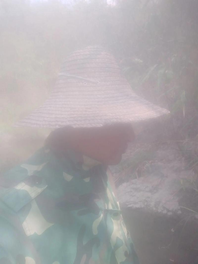 梦见下大雨好多鱼冲死了