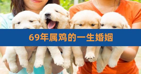 属鸡对于婚姻的概念是什么