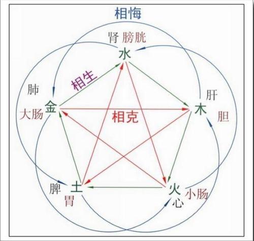 肾在五行中属什么,五行属性与肾脏的关系