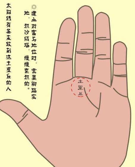 太阳线的长短、太阳线分叉的运势寓意