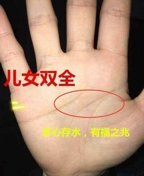 女人富贵命罕见手相凤尾纹