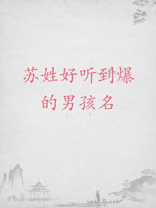 苏姓男孩起名有哪些好听