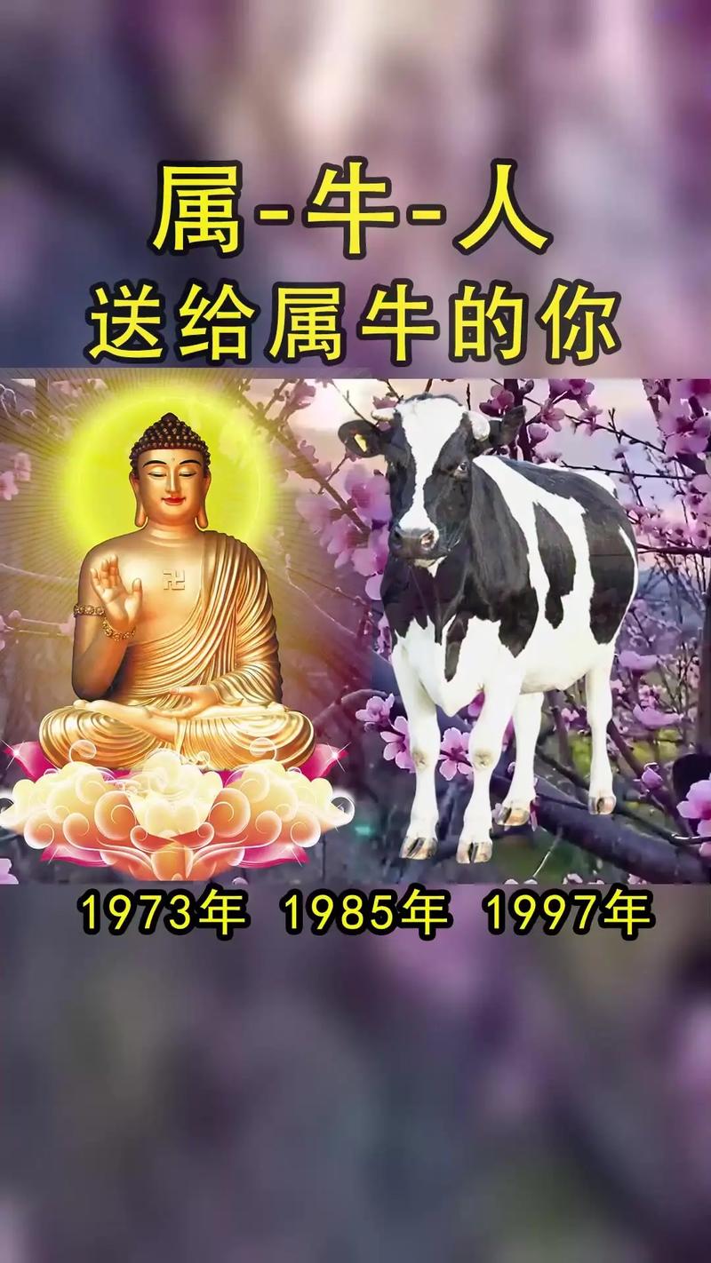属牛牵挂你时有什么表现