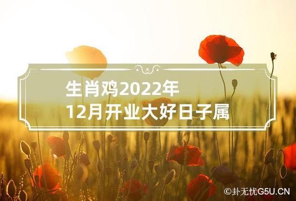 属鸡2022年12月事业运程