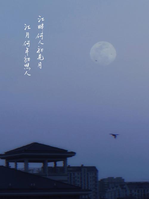 梦到乌鹊是什么意思