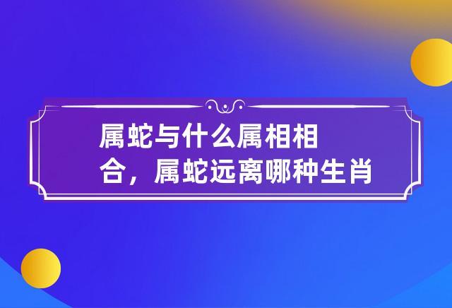 属蛇不能和什么属相在一起?相克吗?