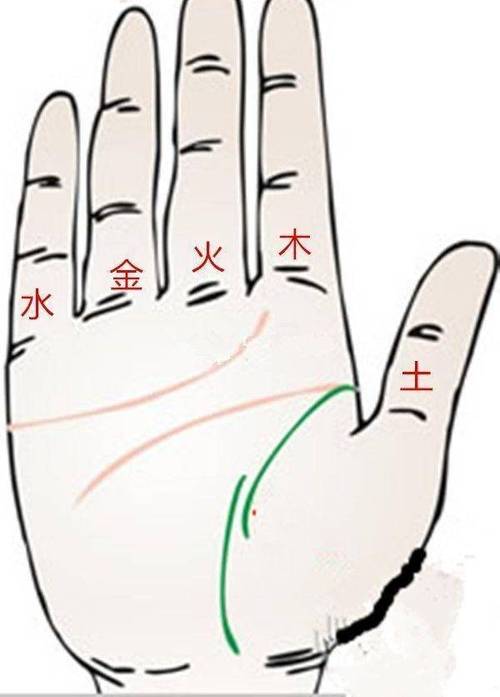 做梦都会笑!一夜暴富的手相解析