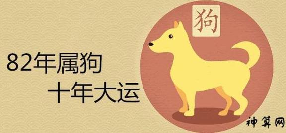 3岁生肖狗2021年下半年运程怎么样