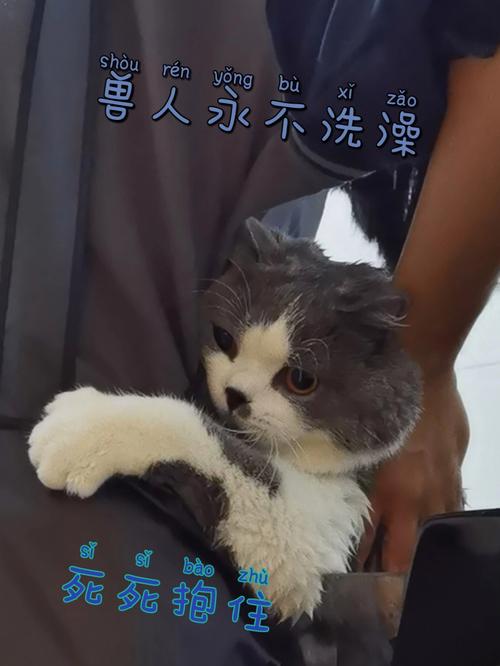 掰一掰命到底好不好？
