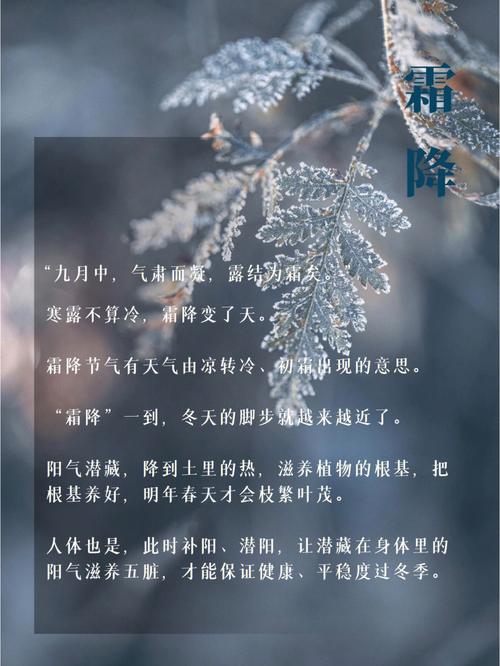 霜降变了天是什么意思?2020年霜降这天结婚好吗?